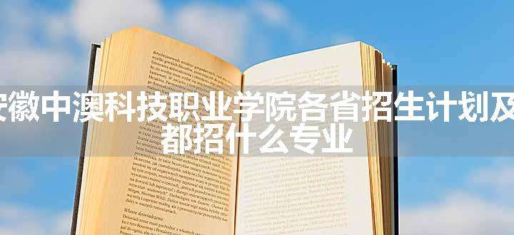 2024年安徽中澳科技职业学院各省招生计划及招生人数 都招什么专业