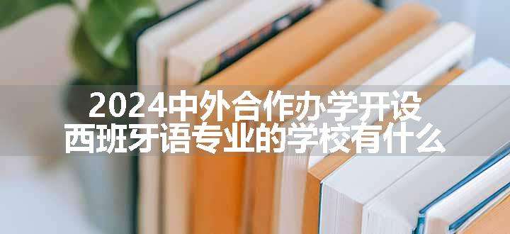 2024中外合作办学开设西班牙语专业的学校有什么