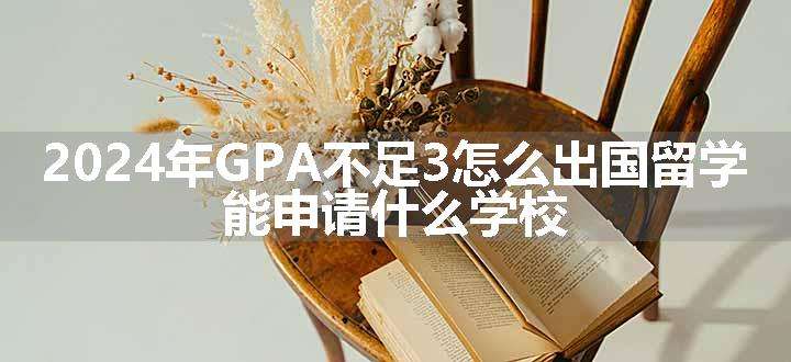 2024年GPA不足3怎么出国留学 能申请什么学校