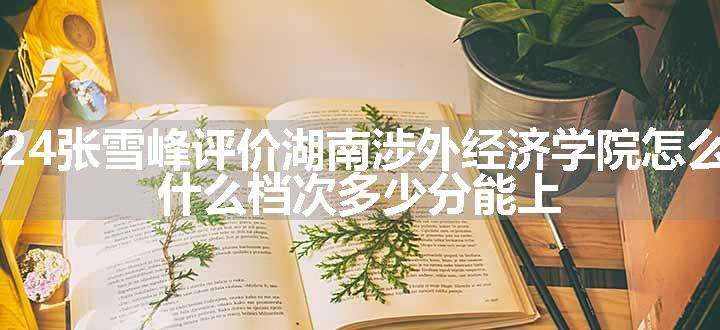 2024张雪峰评价湖南涉外经济学院怎么样 什么档次多少分能上