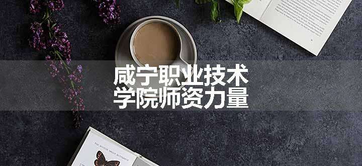 咸宁职业技术学院师资力量