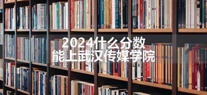 2024什么分数能上武汉传媒学院