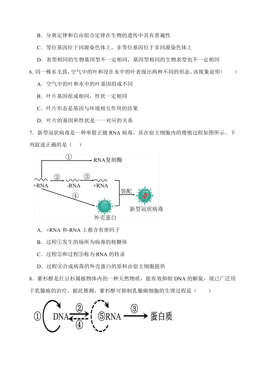 山西省临汾市侯马市第一中学校2023-2024学年高一下学期第三次月考生物试题（无答案）