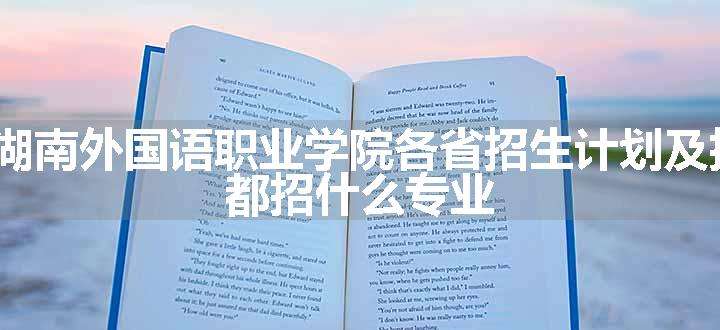 2024年湖南外国语职业学院各省招生计划及招生人数 都招什么专业