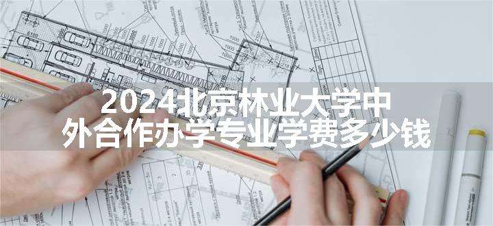 2024北京林业大学中外合作办学专业学费多少钱