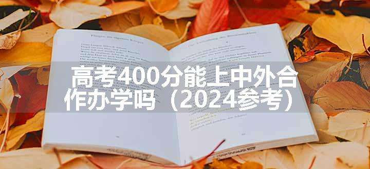 高考400分能上中外合作办学吗（2024参考）