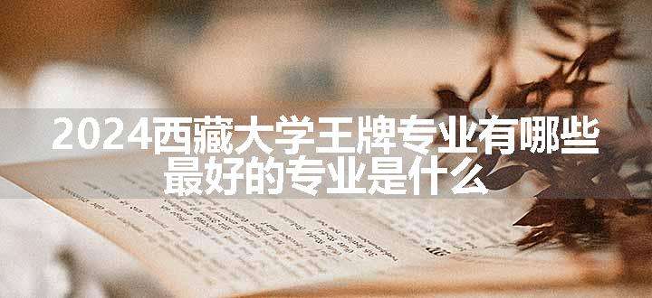 2024西藏大学王牌专业有哪些 最好的专业是什么