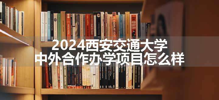 2024西安交通大学中外合作办学项目怎么样