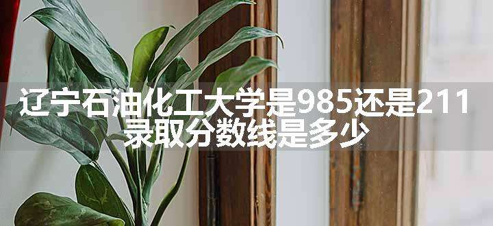 辽宁石油化工大学是985还是211 录取分数线是多少