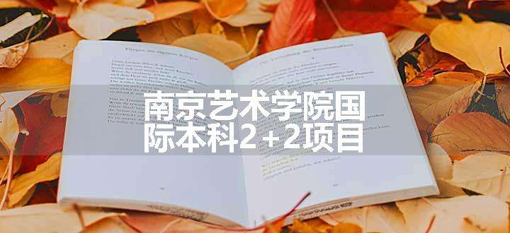 南京艺术学院国际本科2+2项目