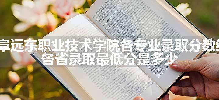 2024曲阜远东职业技术学院各专业录取分数线及位次 各省录取最低分是多少