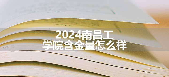 2024南昌工学院含金量怎么样