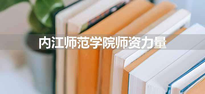 内江师范学院师资力量