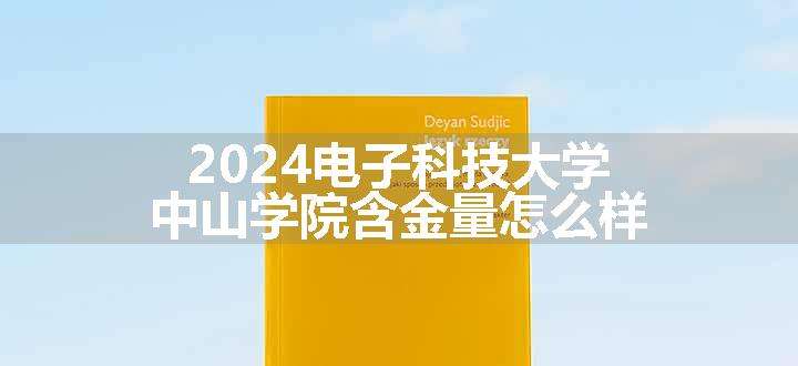 2024电子科技大学中山学院含金量怎么样