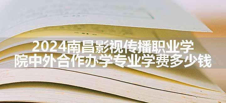 2024南昌影视传播职业学院中外合作办学专业学费多少钱