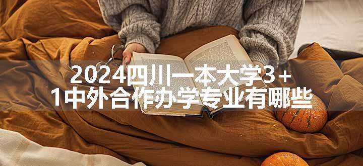 2024四川一本大学3+1中外合作办学专业有哪些