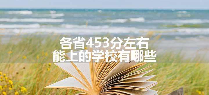 各省453分左右能上的学校有哪些