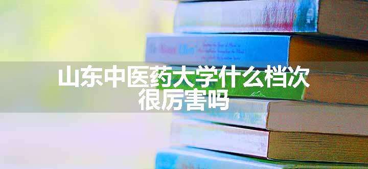 山东中医药大学什么档次 很厉害吗