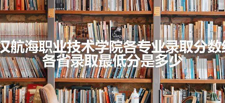 2024武汉航海职业技术学院各专业录取分数线及位次 各省录取最低分是多少