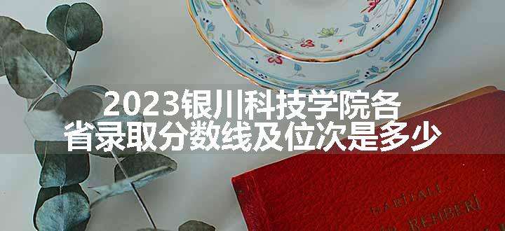 2023银川科技学院各省录取分数线及位次是多少