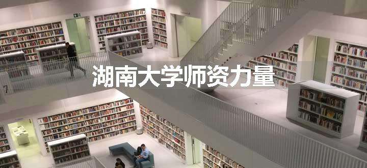 湖南大学师资力量