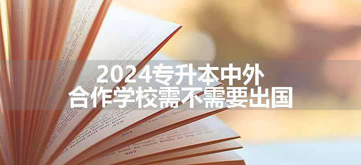 2024专升本中外合作学校需不需要出国