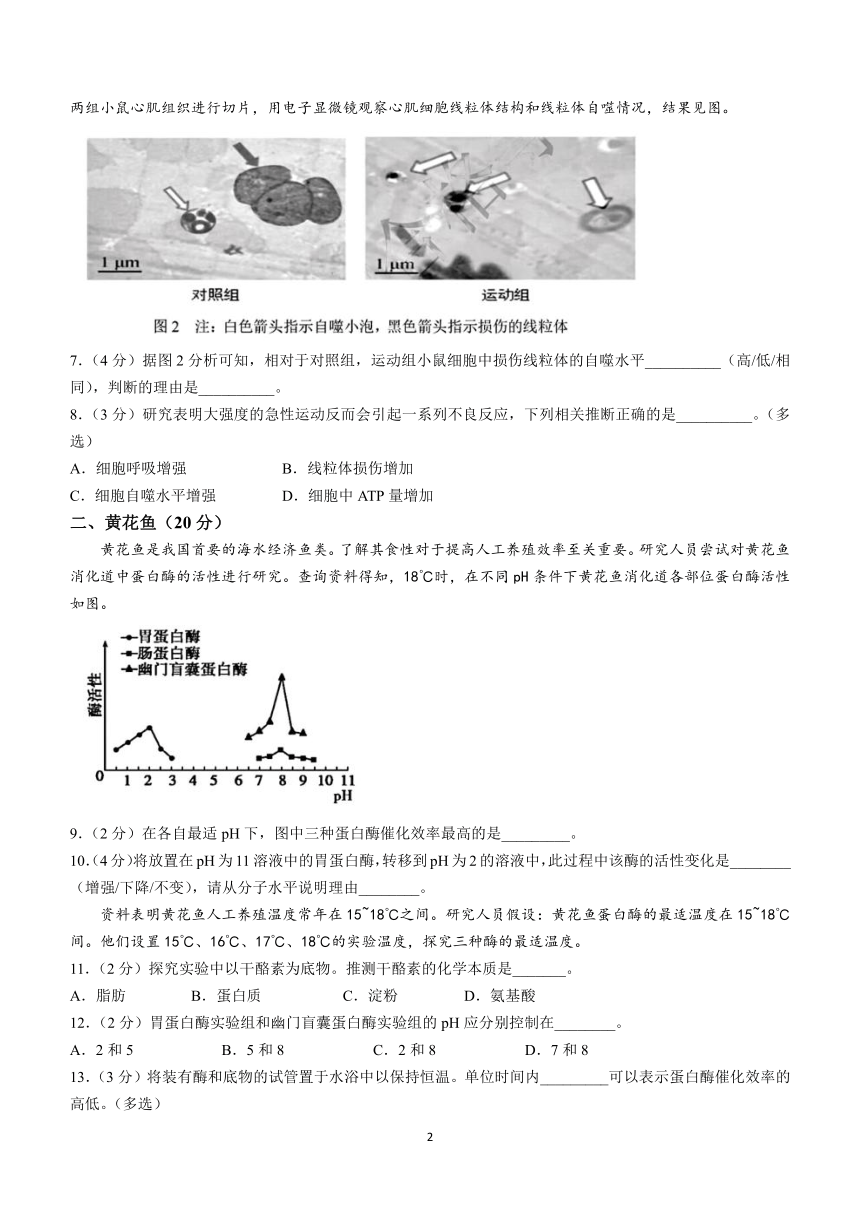 上海市浦东新区2023-2024学年度高二下学期期末教学质量检测生物学（合格考）模拟试卷（含答案）