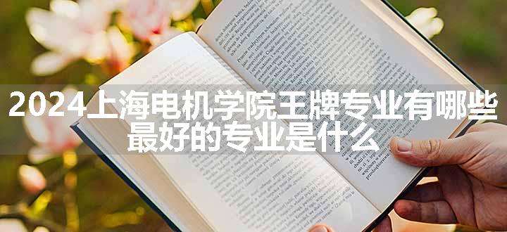 2024上海电机学院王牌专业有哪些 最好的专业是什么