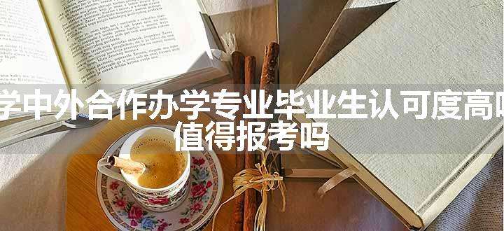 985大学中外合作办学专业毕业生认可度高吗2024 值得报考吗