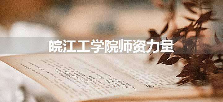 皖江工学院师资力量