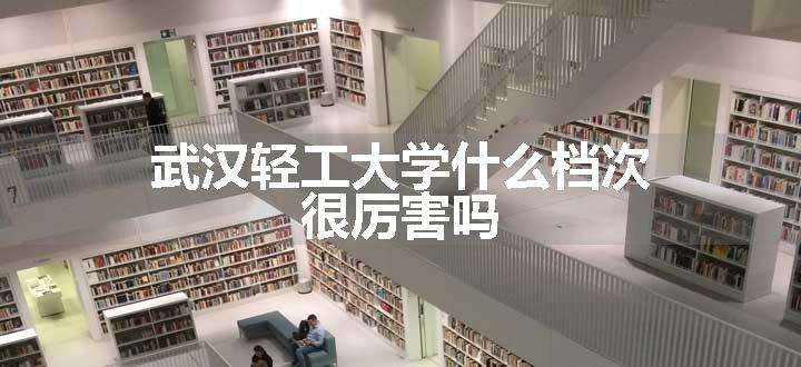 武汉轻工大学什么档次 很厉害吗