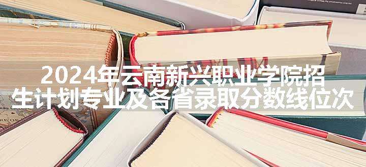 2024年云南新兴职业学院招生计划专业及各省录取分数线位次