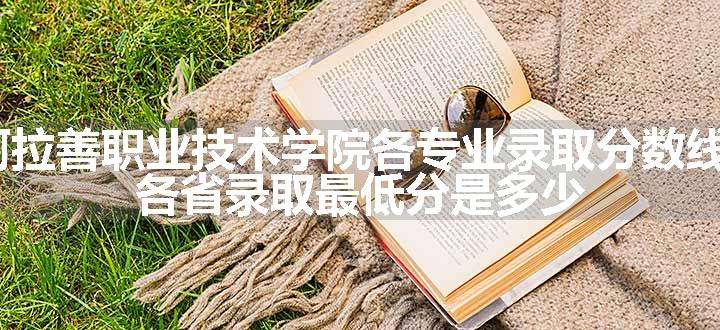 2024阿拉善职业技术学院各专业录取分数线及位次 各省录取最低分是多少