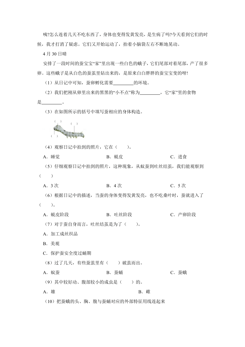 2023-2024学年三年级科学下册期末真题分类练习（四川专版）第二单元动物的一生（含解析）