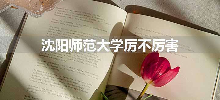 沈阳师范大学厉不厉害