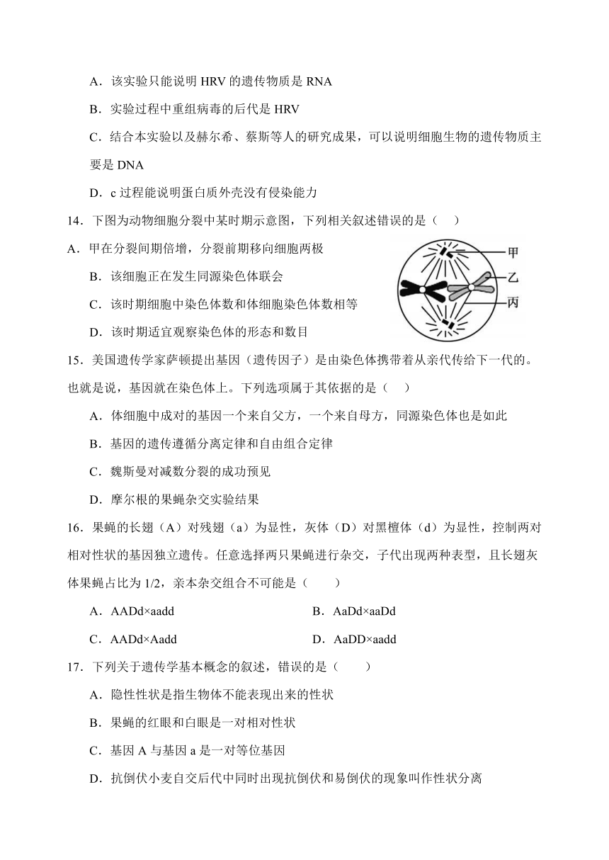 山西省临汾市侯马市第一中学校2023-2024学年高一下学期第三次月考生物试题（无答案）