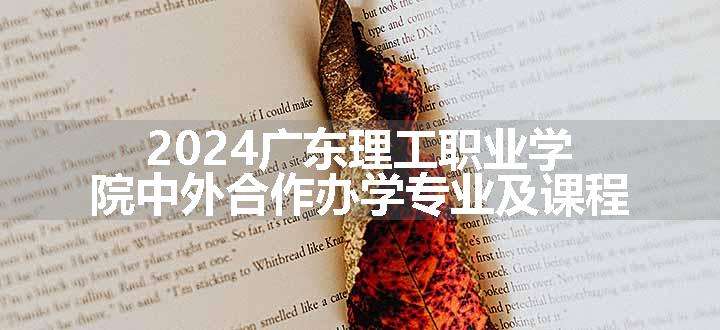 2024广东理工职业学院中外合作办学专业