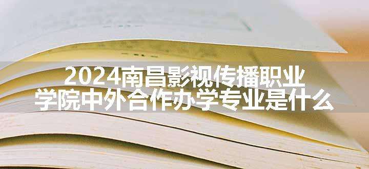 南昌影视传播职业学院中外合作办学专业