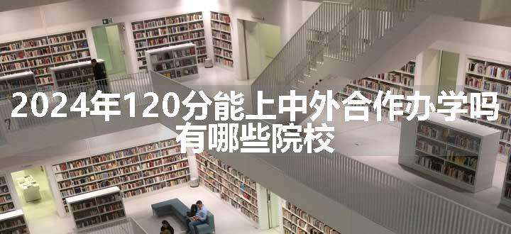 2024年120分能上中外合作办学吗 有哪些院校