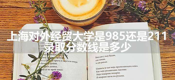 上海对外经贸大学是985还是211 录取分数线是多少