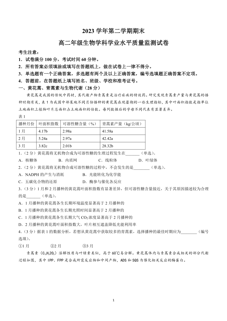 上海市宝山区2023-2024学年高二下学期期末教学质量监测生物学试卷（含答案）