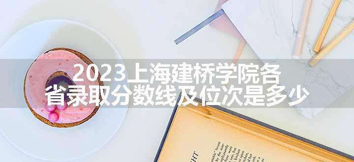 2023上海建桥学院各省录取分数线及位次是多少