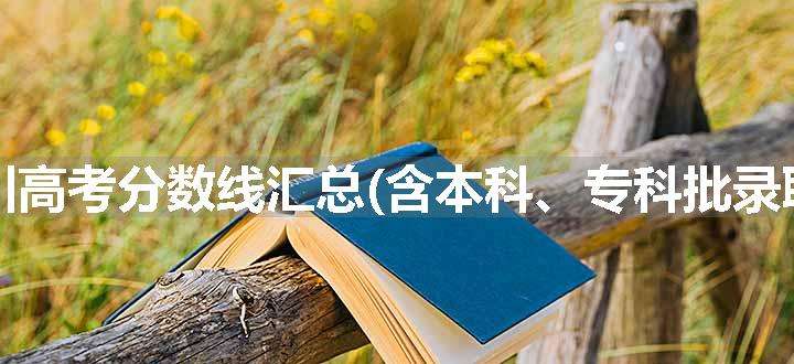 2024四川高考分数线汇总(含本科、专科批录取分数线) 