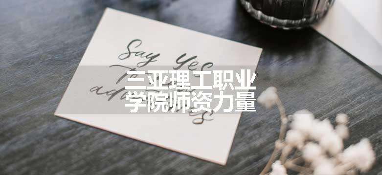 三亚理工职业学院师资力量