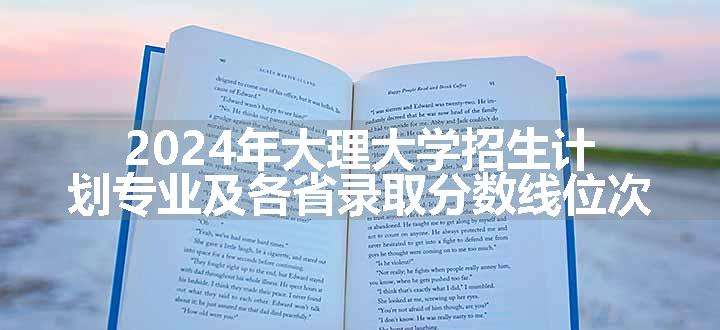 2024年大理大学招生计划专业及各省录取分数线位次