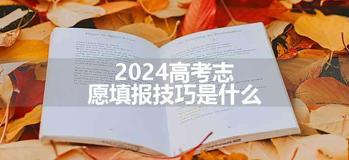 2024高考志愿填报技巧是什么