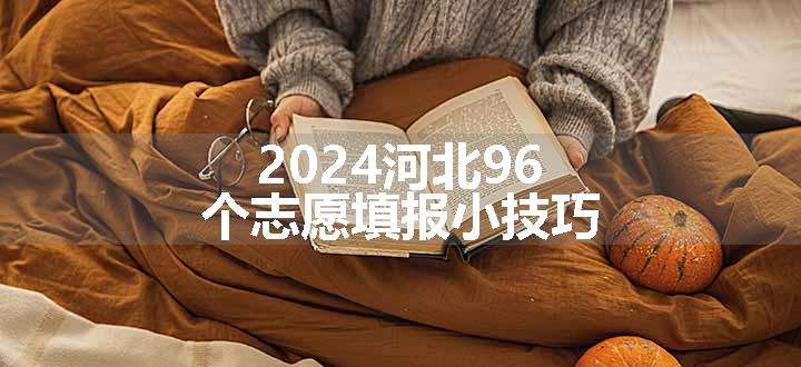 2024河北96个志愿填报小技巧