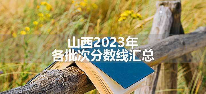 山西2023年各批次分数线汇总