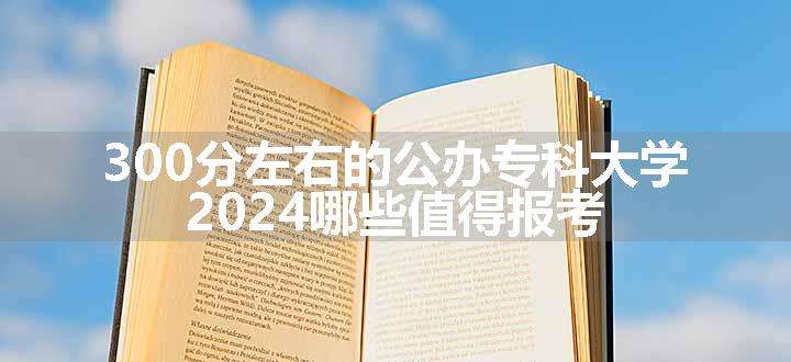 300分左右的公办专科大学 2024哪些值得报考