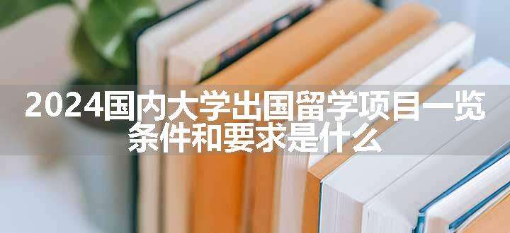 2024国内大学出国留学项目一览 条件和要求是什么